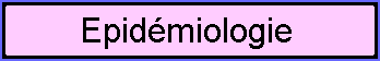 Epid.gif (1775 octets)