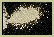 GrippeT.gif (2291 octets)